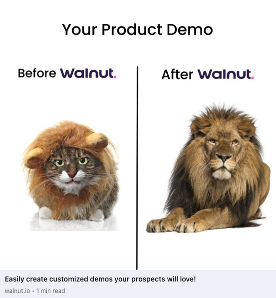Walnut cat ad