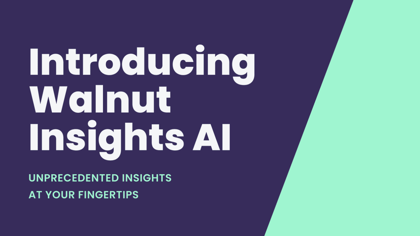 Walnut’s Insights AI